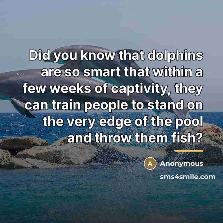 “Did you know that dolphins are so smart that within…” quote by Anonymous