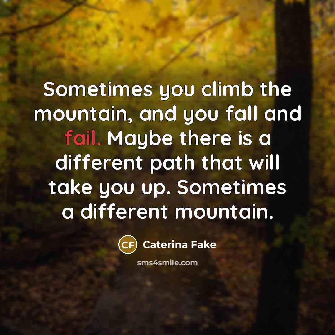 “Sometimes you climb the mountain, and you fall and fail.…” quote by Caterina Fake