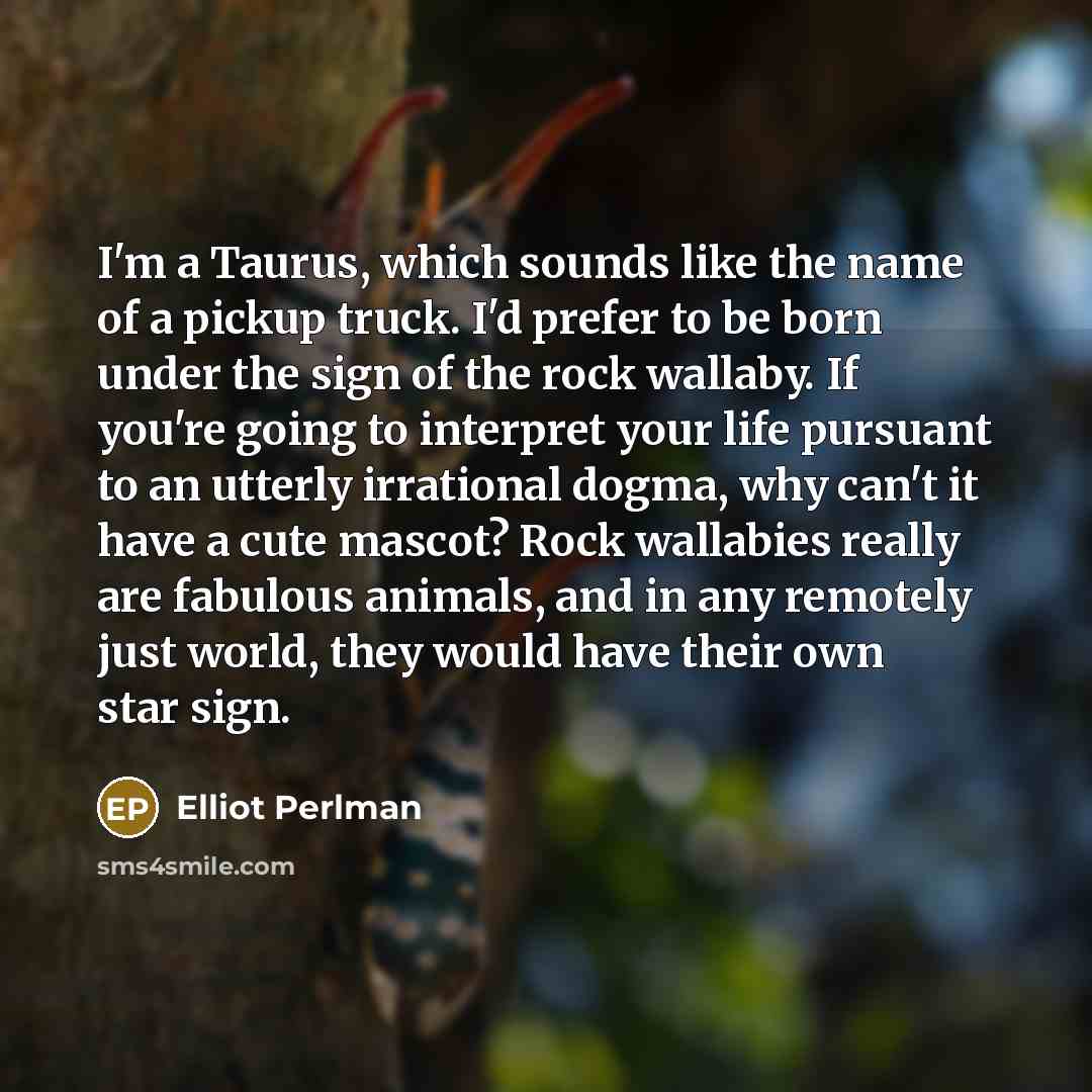 “I'm a Taurus, which sounds like the name of a…” quote by Elliot Perlman