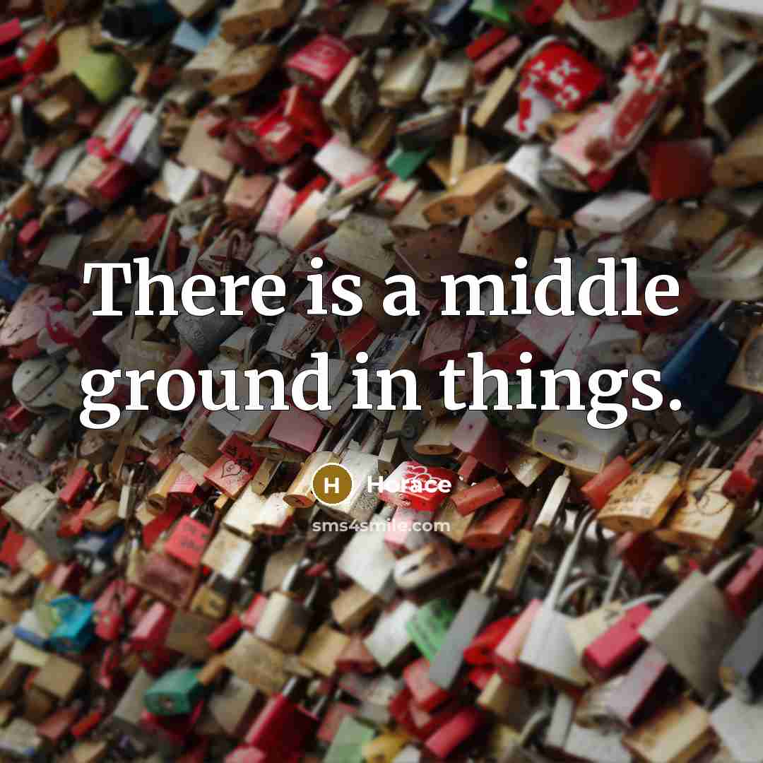 “There is a middle ground in things.” quote by Horace