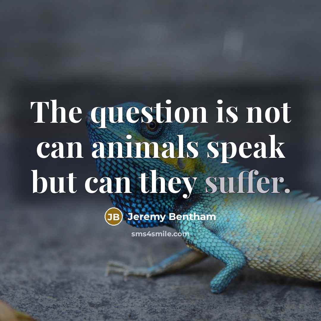 “The question is not can animals speak but can they…” quote by Jeremy Bentham