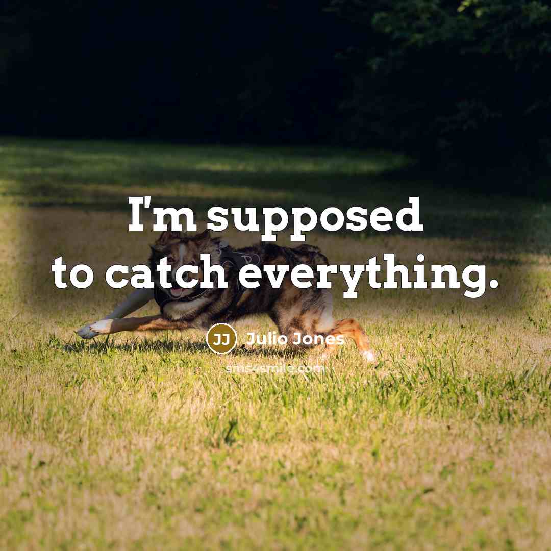 “I'm supposed to catch everything.…” quote by Julio Jones