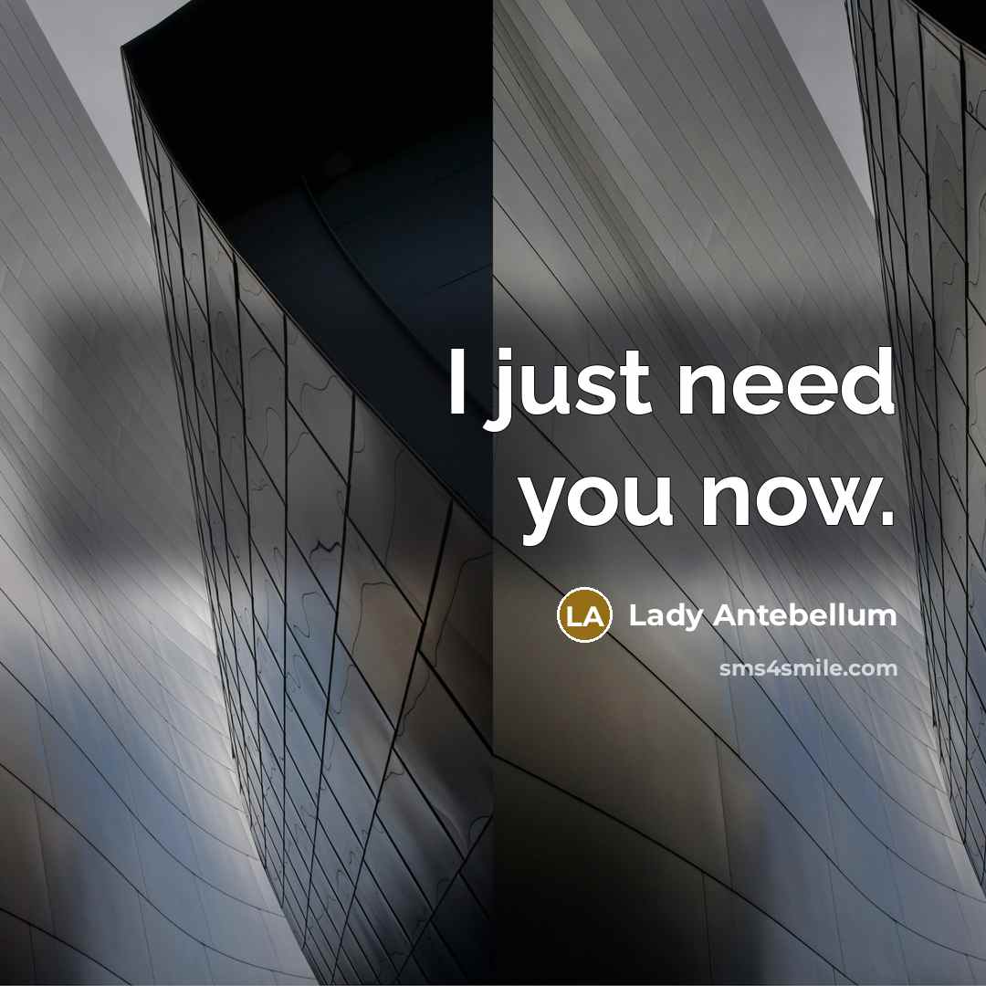 “I just need you now.…” quote by Lady Antebellum