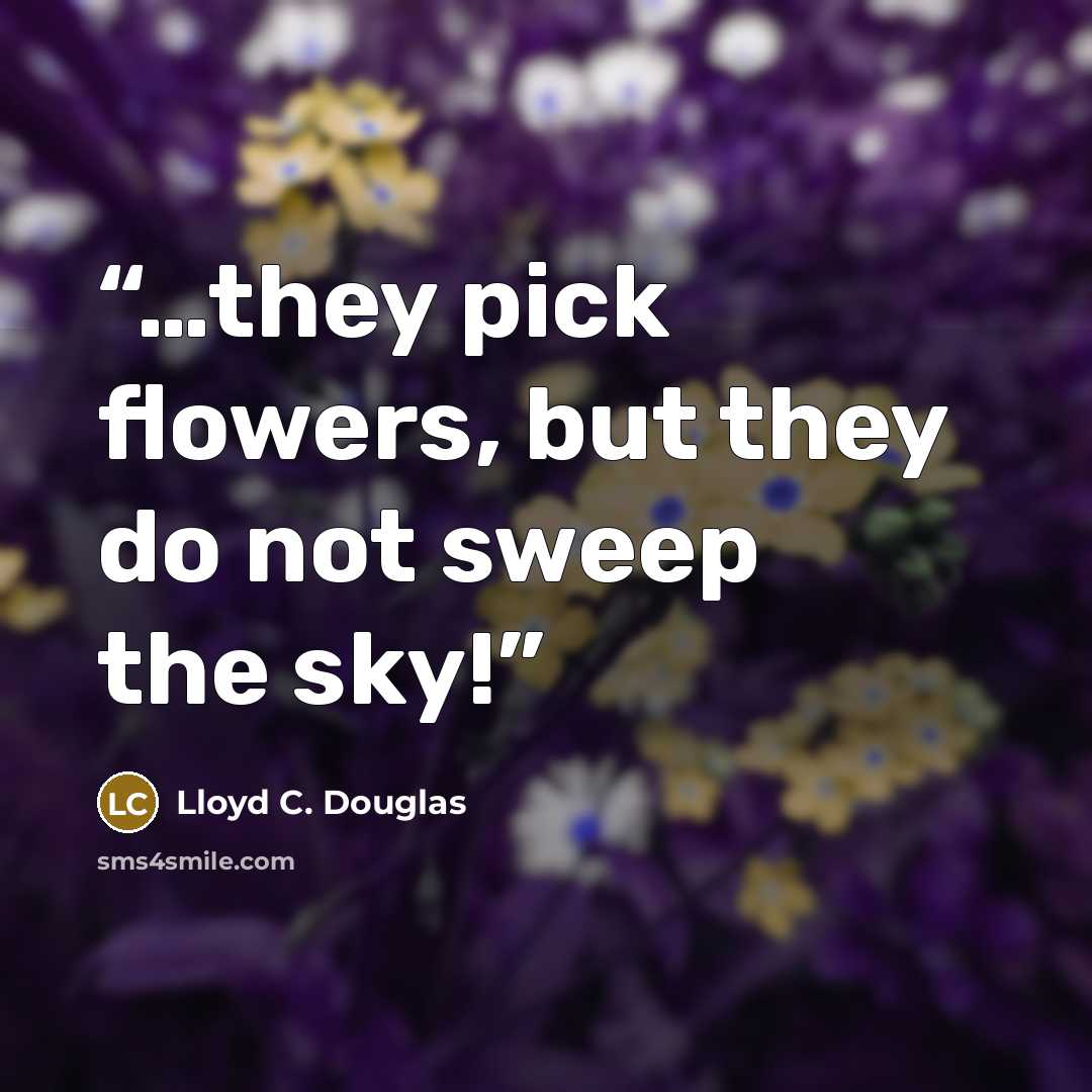 “…they pick flowers, but they do not sweep the sky!” quote by Lloyd C. Douglas