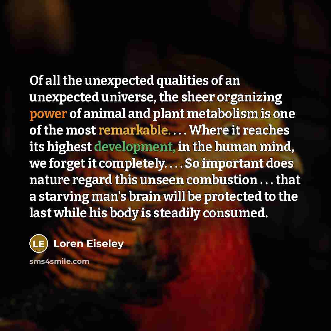 “Of all the unexpected qualities of an unexpected universe, the…” quote by Loren Eiseley