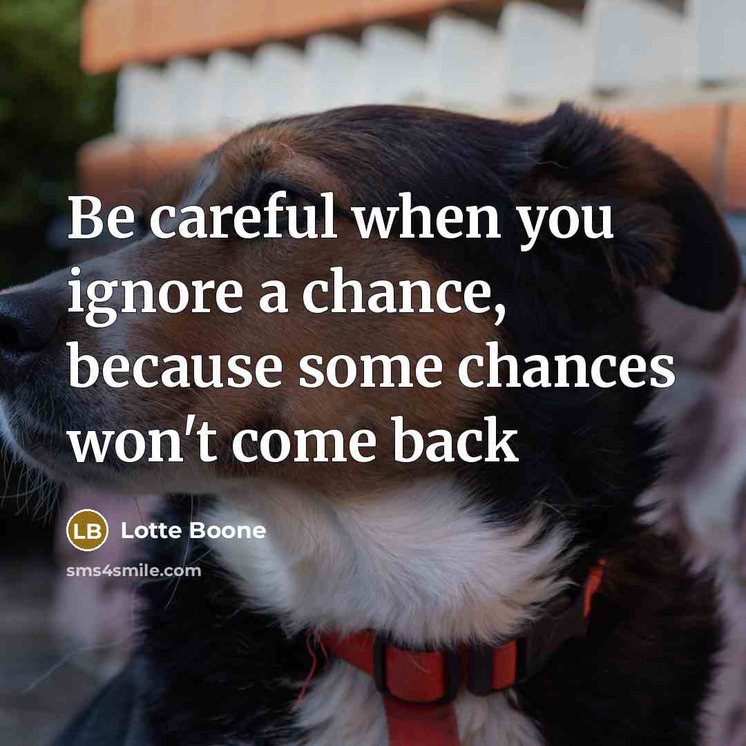 “Be careful when you ignore a chance, because some chances…” quote by Lotte Boone