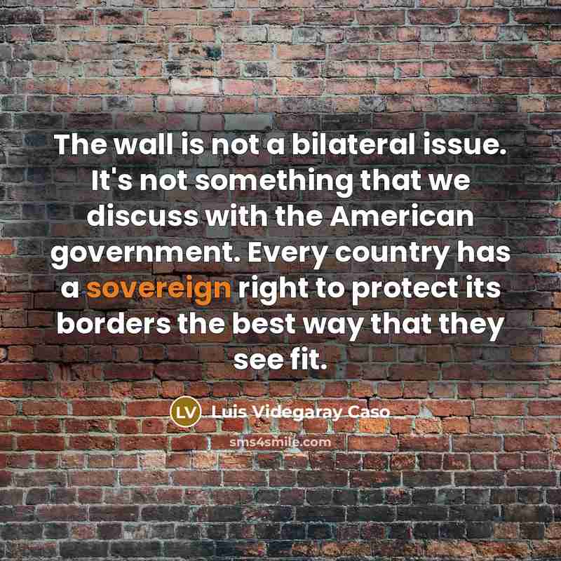 “The wall is not a bilateral issue. It's not something…” quote by Luis Videgaray Caso