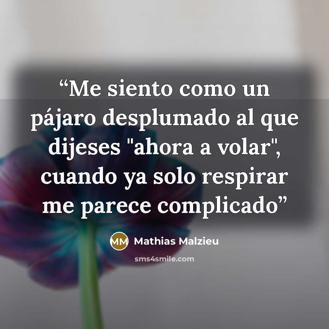 “Me siento como un pájaro desplumado al que dijeses "ahora a volar", cuando ya solo respirar me parece complicado” quote by Mathias Malzieu
