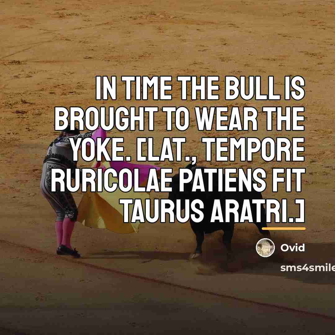 “In time the bull is brought to wear the yoke.…” quote by Ovid