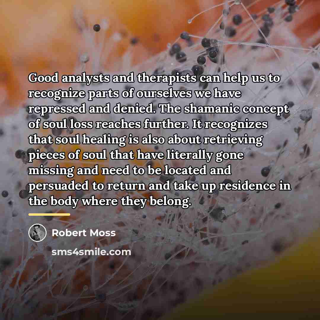 “Good analysts and therapists can help us to recognize parts…” quote by Robert Moss