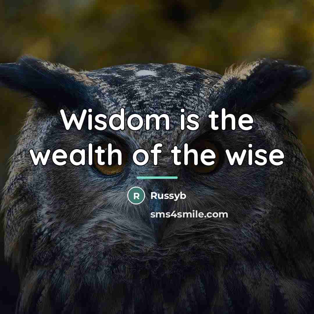 “Wisdom is the wealth of the wise…” quote by Russyb