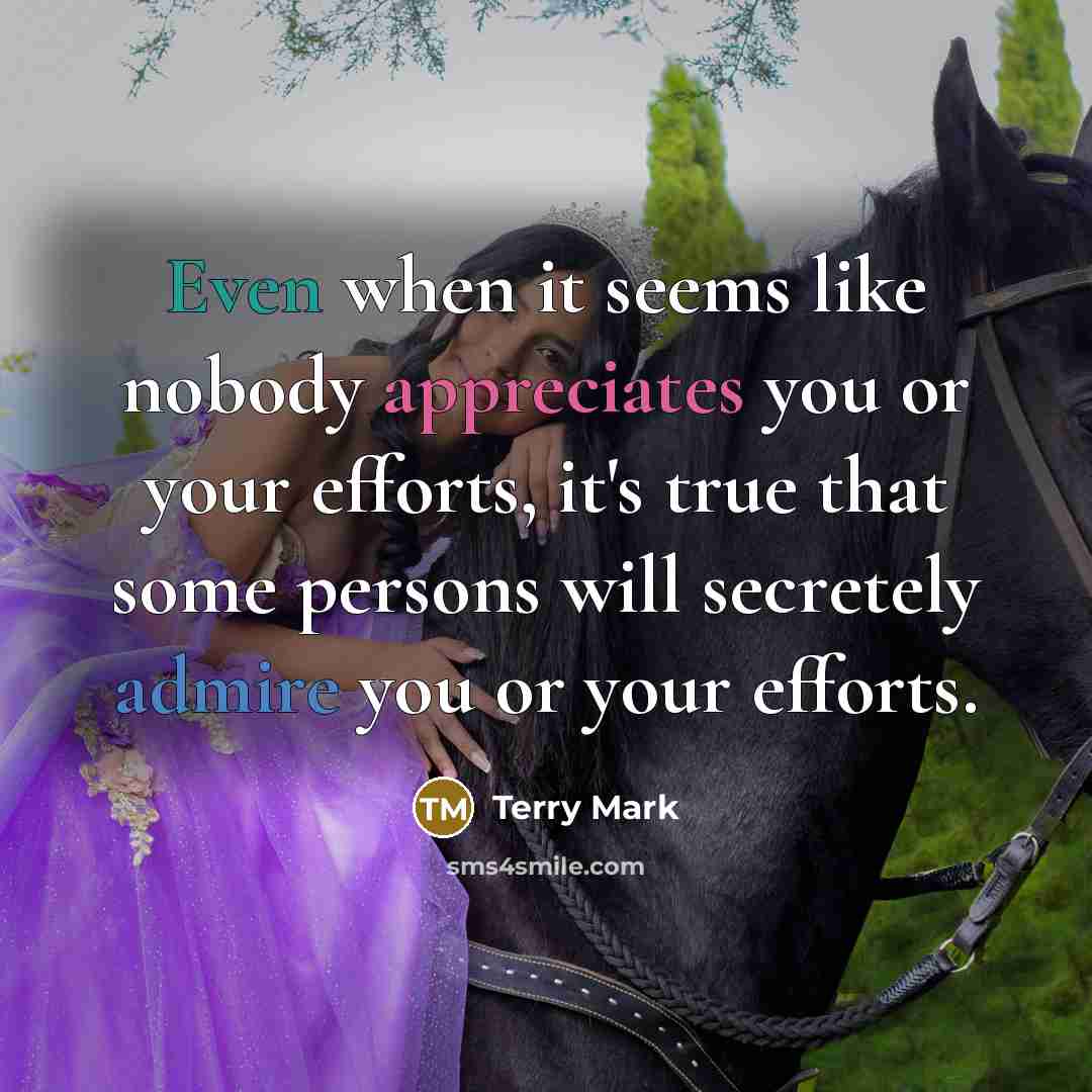 “Even when it seems like nobody appreciates you or your efforts, it's true that some persons will secretely admire you or your efforts.” quote by Terry Mark