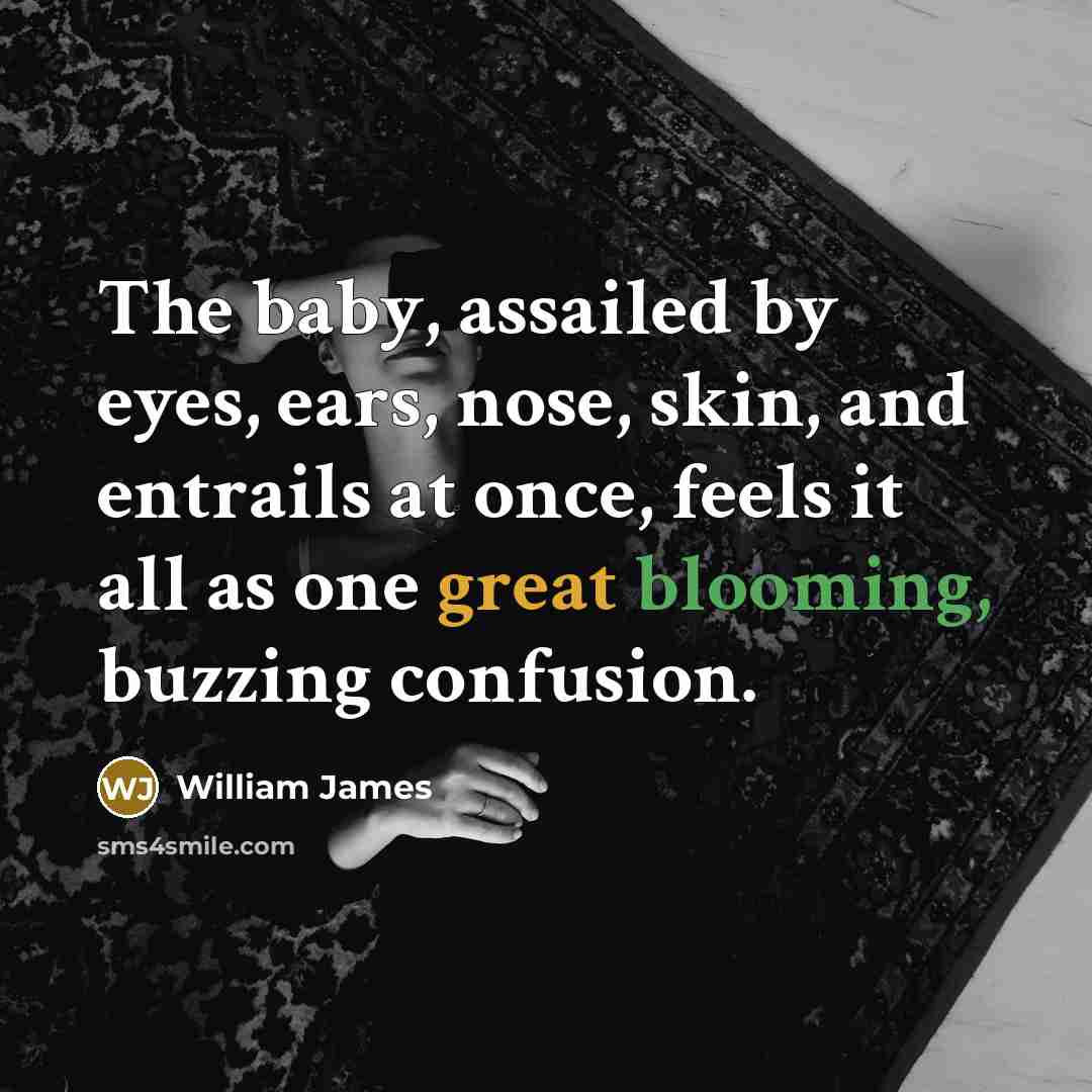 “The baby, assailed by eyes, ears, nose, skin, and entrails…” quote by William James
