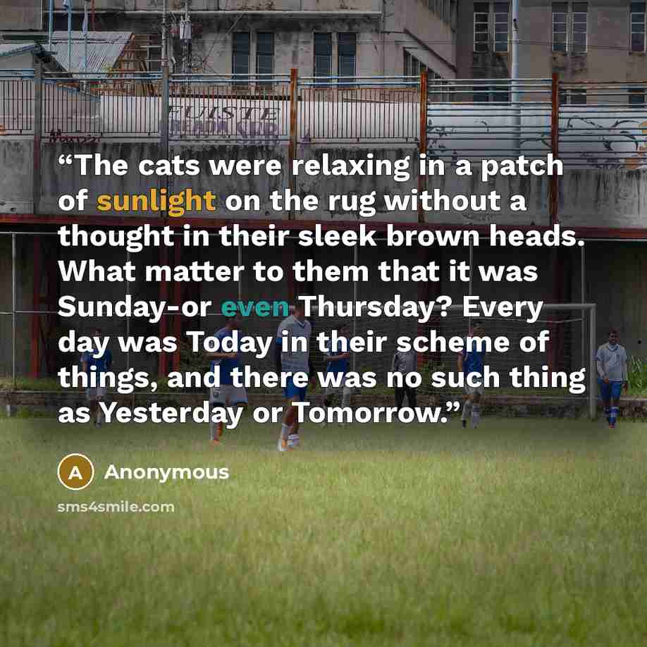 “The cats were relaxing in a patch of sunlight on the rug without a thought in their sleek brown heads. What matter to them that it was Sunday-or even Thursday? Every day was Today in their scheme of things, and there was no such thing as Yesterday or Tomorrow.” quote by Anonymous