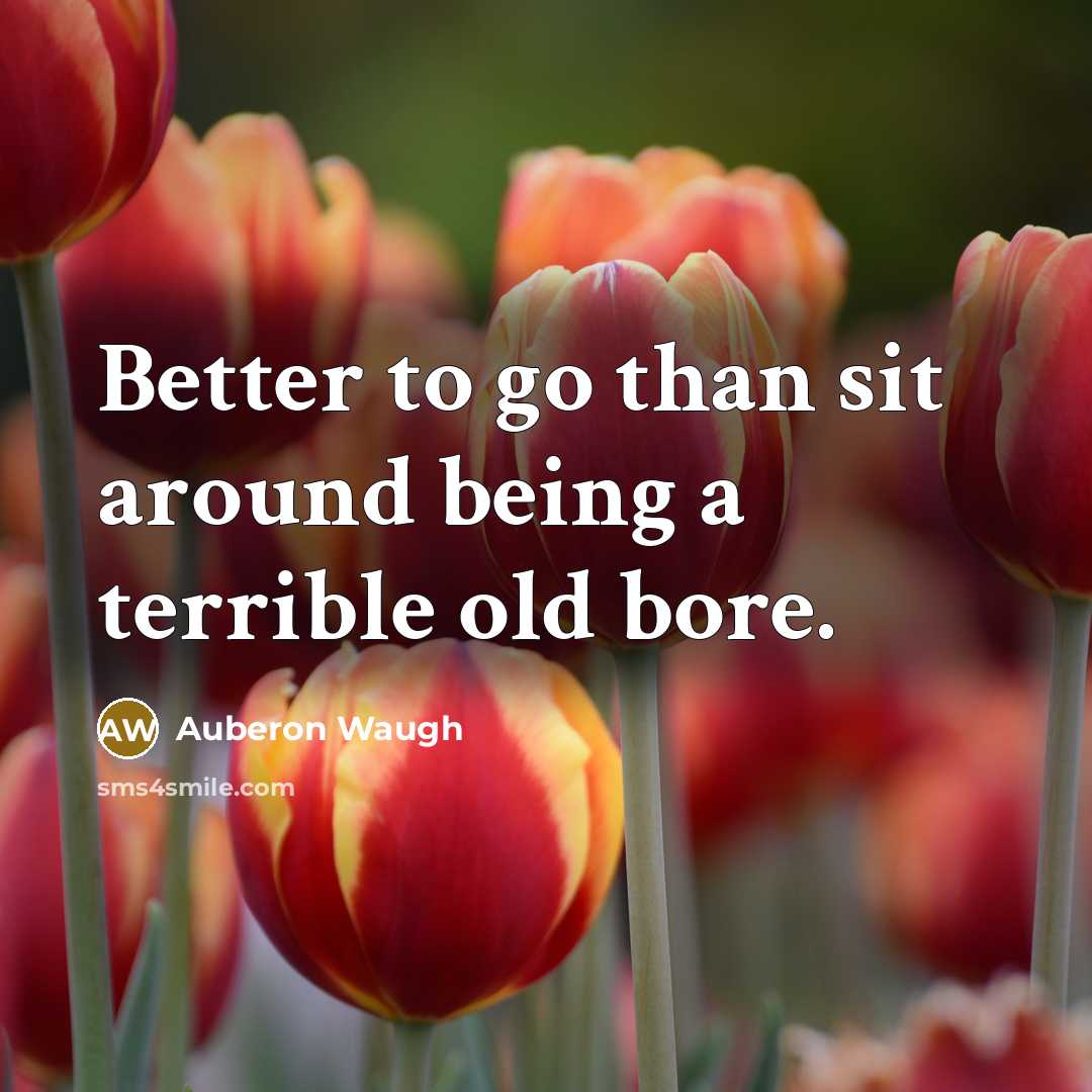 “Better to go than sit around being a terrible old…” quote by Auberon Waugh