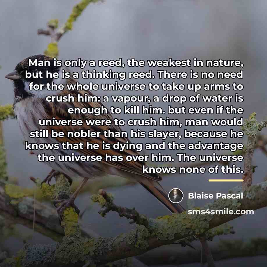 “Man is only a reed, the weakest in nature, but…” quote by Blaise Pascal