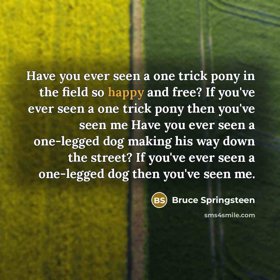 “Have you ever seen a one trick pony in the…” quote by Bruce Springsteen