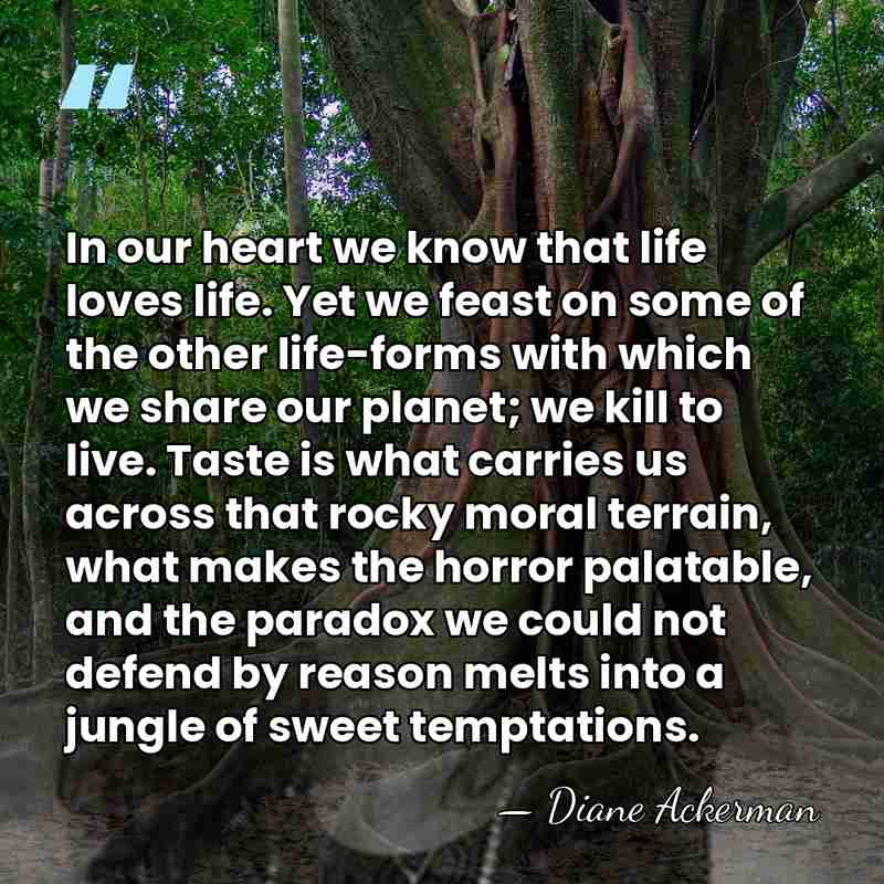 In our heart we know that life loves life. Yet we feast&hellip; - Diane Ackerman