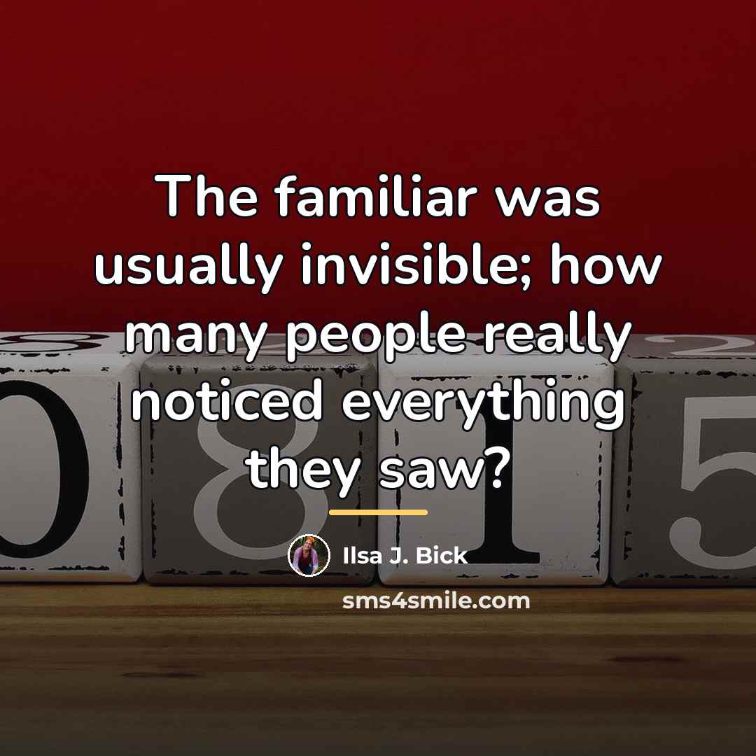 “The familiar was usually invisible; how many people really noticed…” quote by Ilsa J. Bick