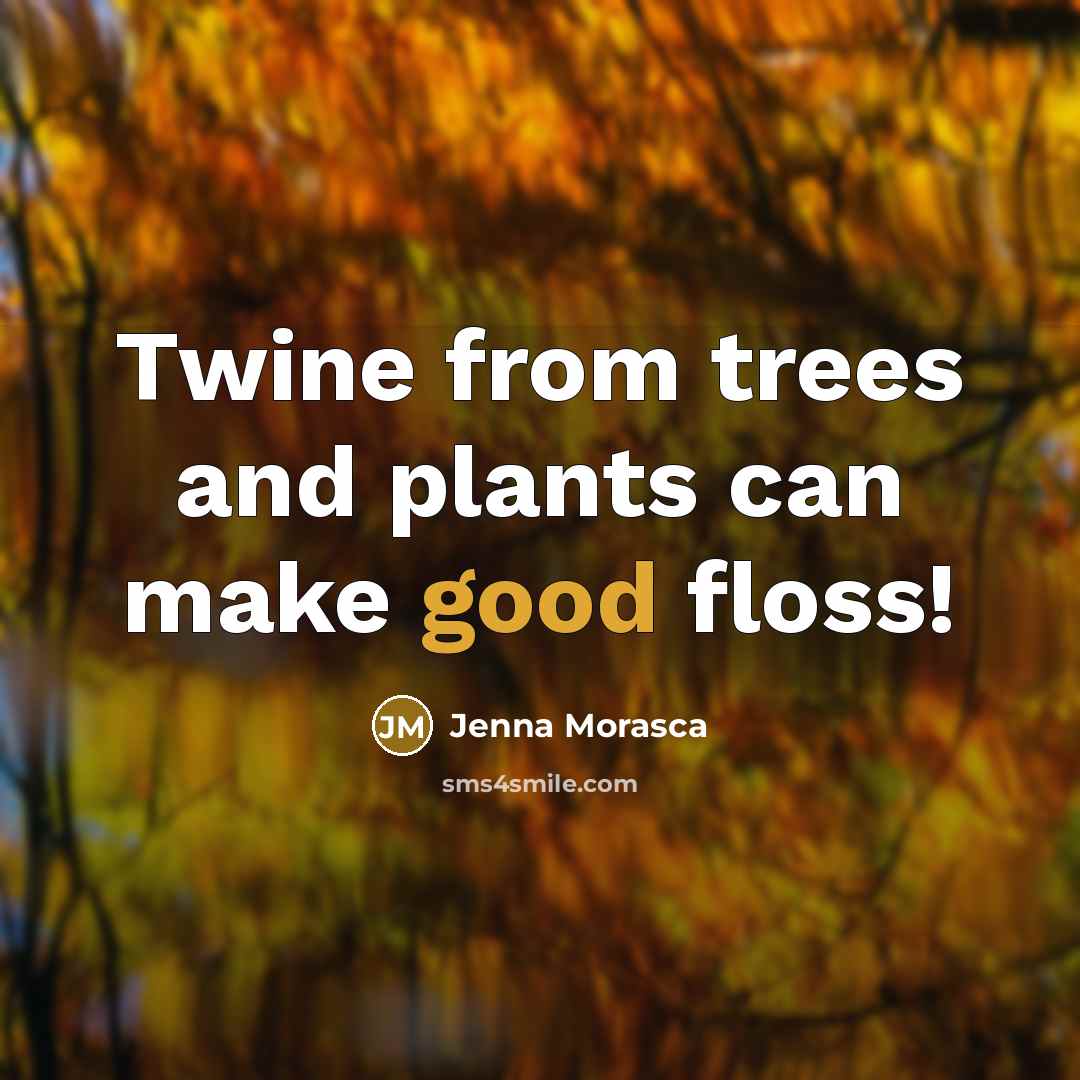 “Twine from trees and plants can make good floss!…” quote by Jenna Morasca