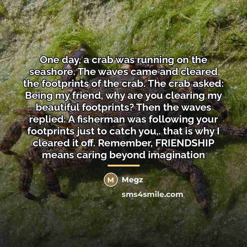 “One day, a crab was running on the seashore. The…” quote by Megz
