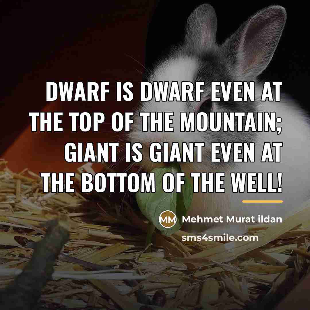 “Dwarf is dwarf even at the top of the mountain;…” quote by Mehmet Murat Ildan
