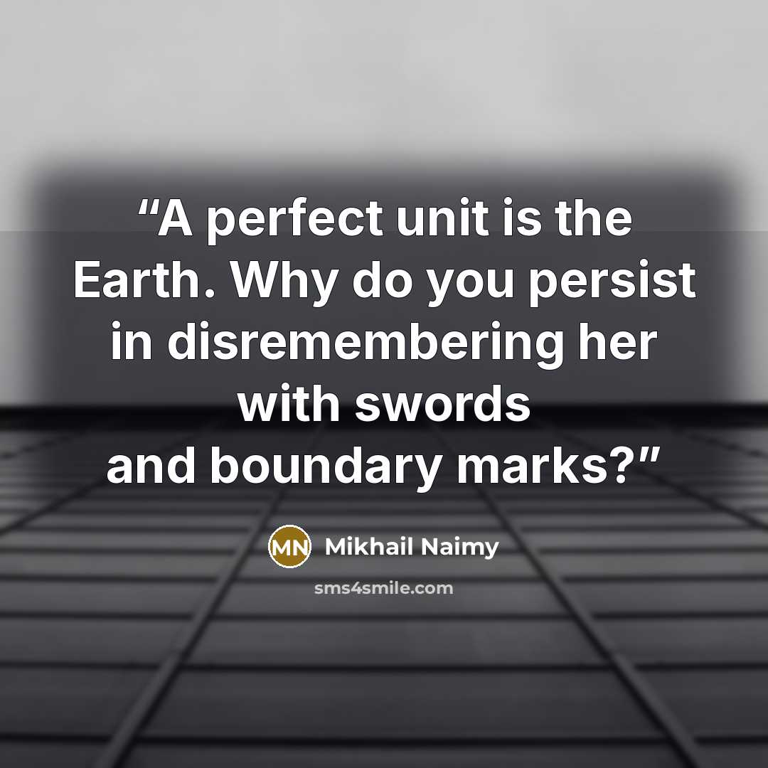 “A perfect unit is the Earth. Why do you persist in disremembering her with swords and boundary marks?” quote by Mikhail Naimy