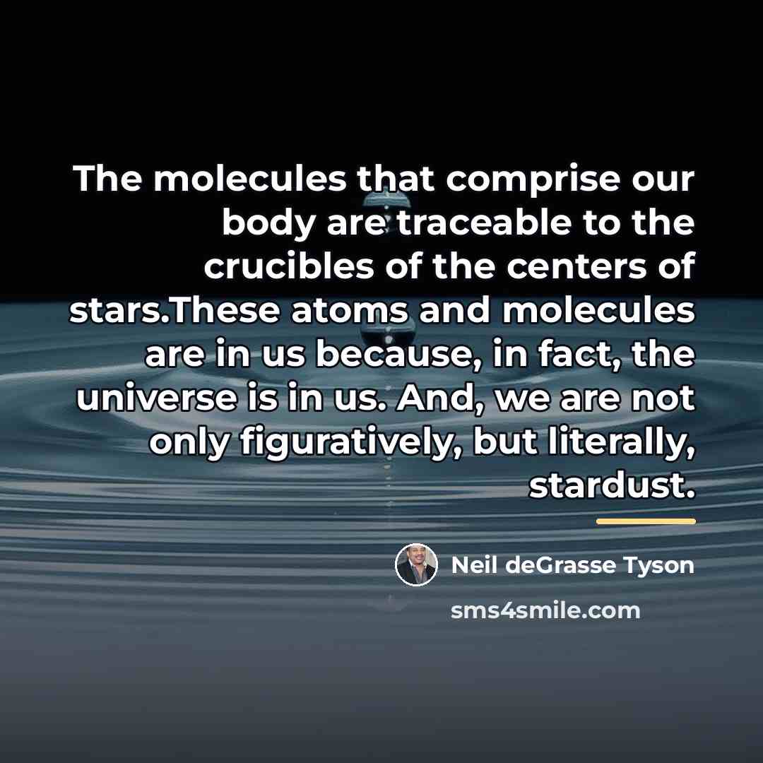 “The molecules that comprise our body are traceable to the…” quote by Neil deGrasse Tyson