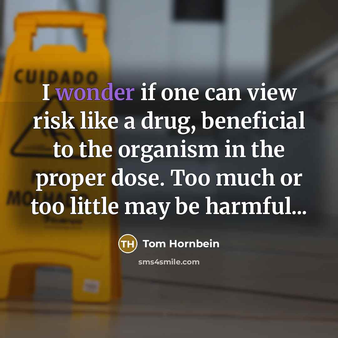 “I wonder if one can view risk like a drug,…” quote by Tom Hornbein