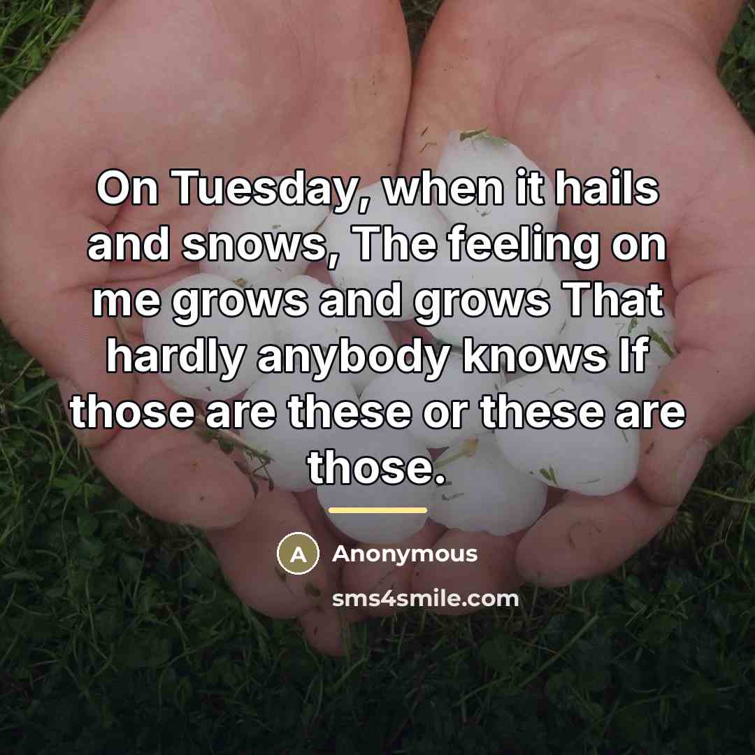 “On Tuesday, when it hails and snows, The feeling on…” quote by Anonymous