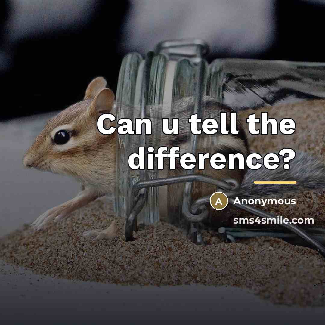 “Can u tell the difference?…” quote by Anonymous
