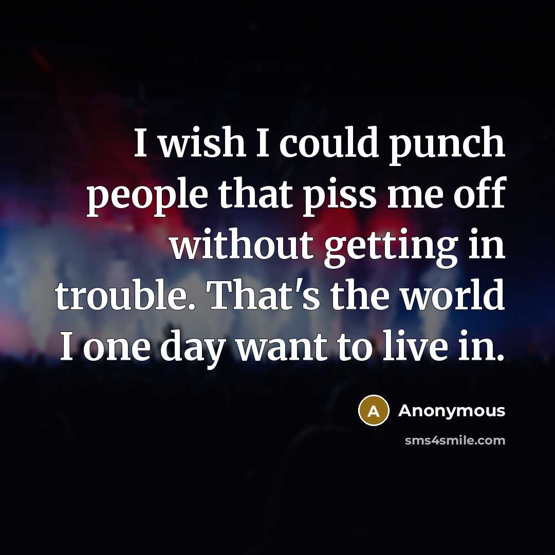 “I wish I could punch people that piss me off…” quote by Anonymous