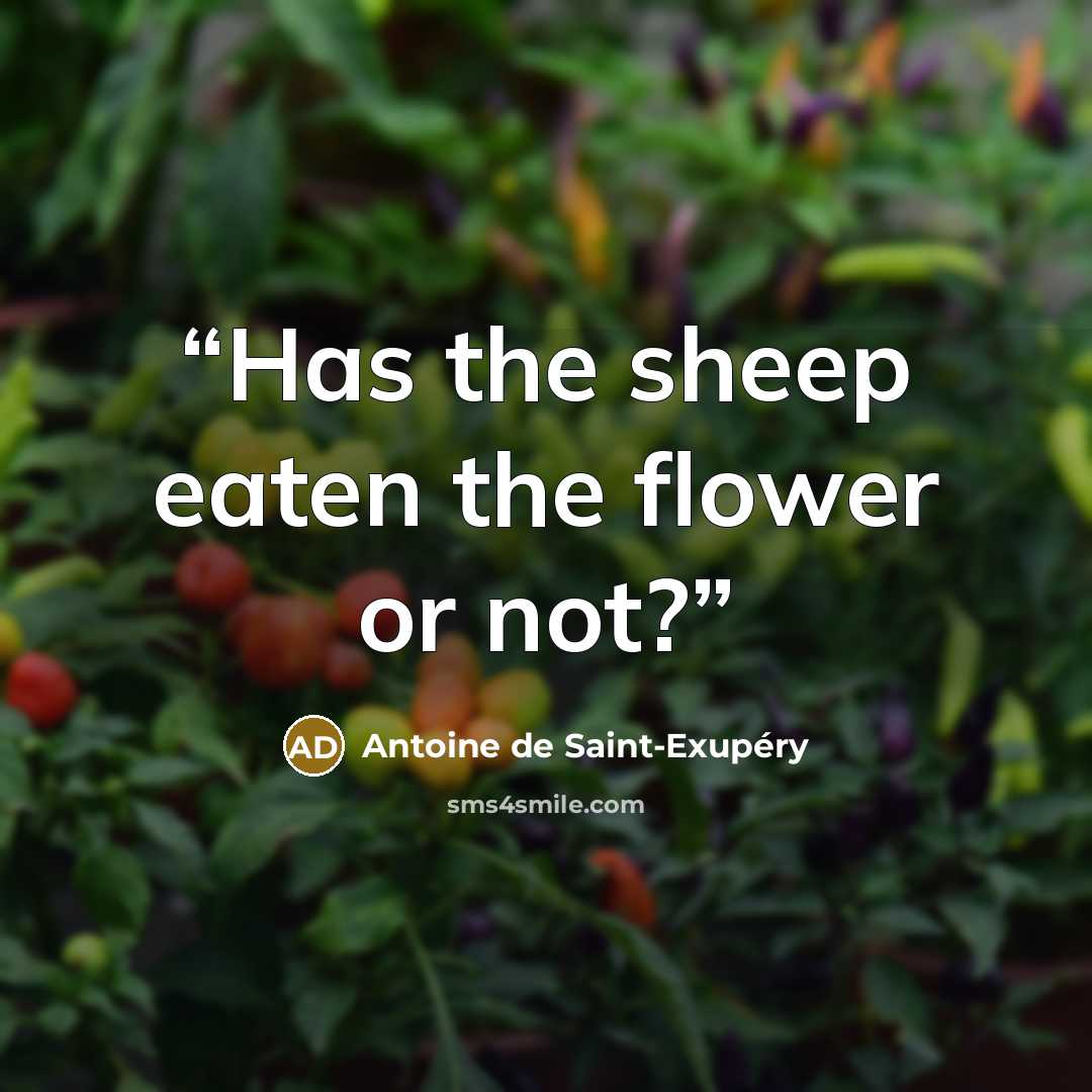 “Has the sheep eaten the flower or not?” quote by Antoine de Saint-Exupéry