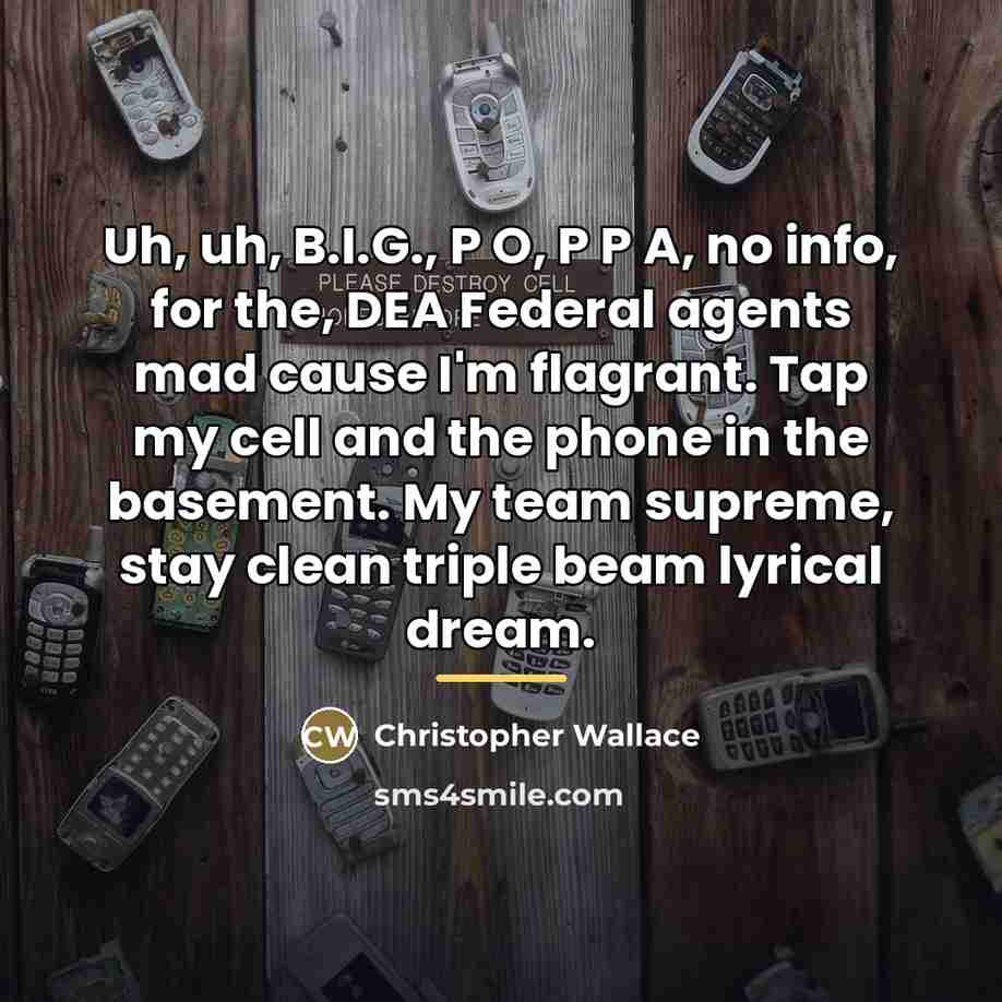“Uh, uh, B.I.G., P O, P P A, no info,…” quote by Christopher Wallace
