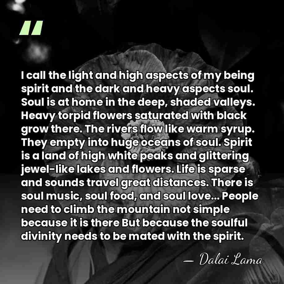 I call the light and high aspects of my being spirit and&hellip; - Dalai Lama