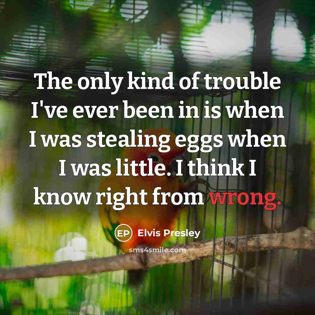 “The only kind of trouble I've ever been in is…” quote by Elvis Presley