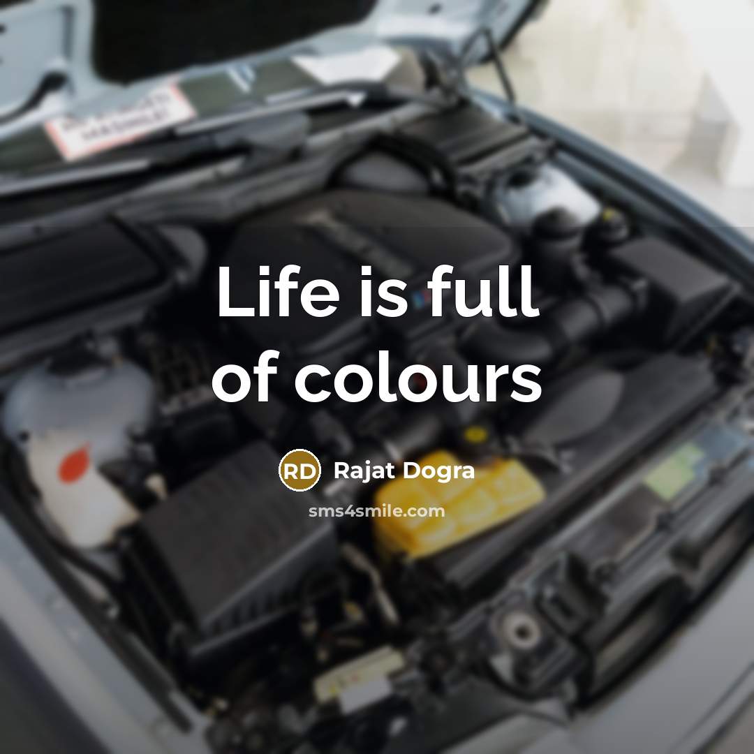 “Life is full of colours…” quote by Rajat Dogra