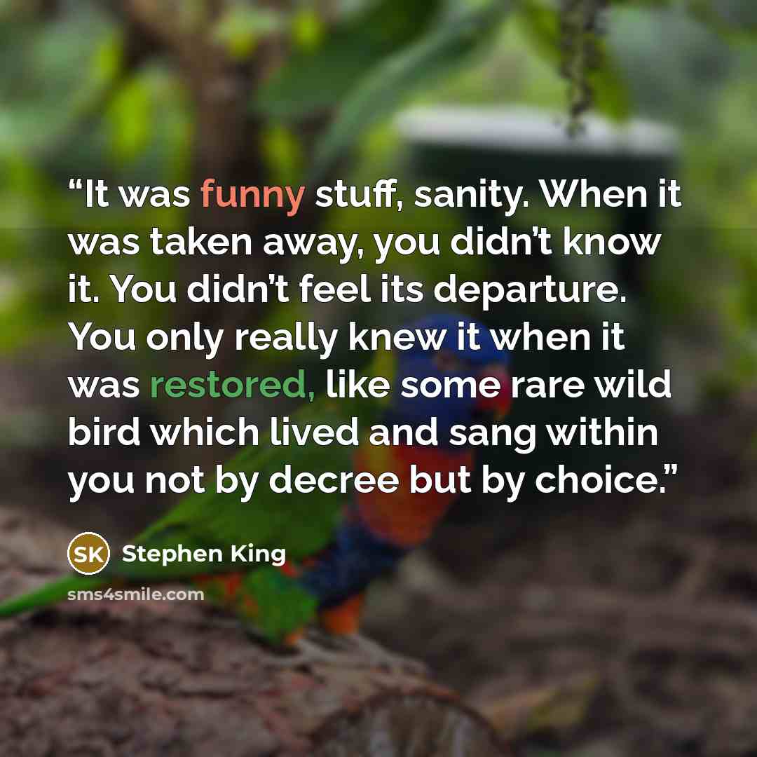 “It was funny stuff, sanity. When it was taken away, you didn’t know it. You didn’t feel its departure. You only really knew it when it was restored, like some rare wild bird which lived and sang within you not by decree but by choice.” quote by Stephen King