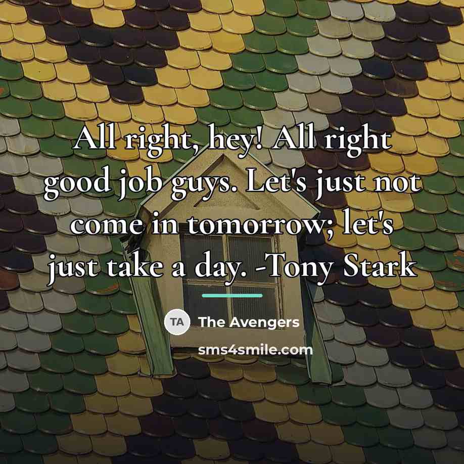 “All right, hey! All right good job guys. Let's just…” quote by The Avengers