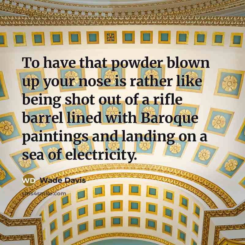 “To have that powder blown up your nose is rather…” quote by Wade Davis