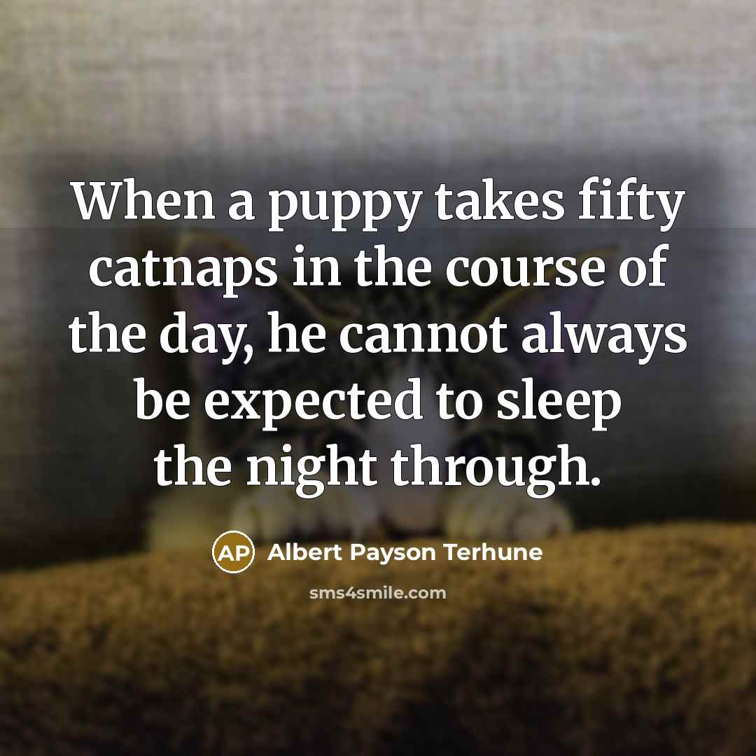 “When a puppy takes fifty catnaps in the course of…” quote by Albert Payson Terhune