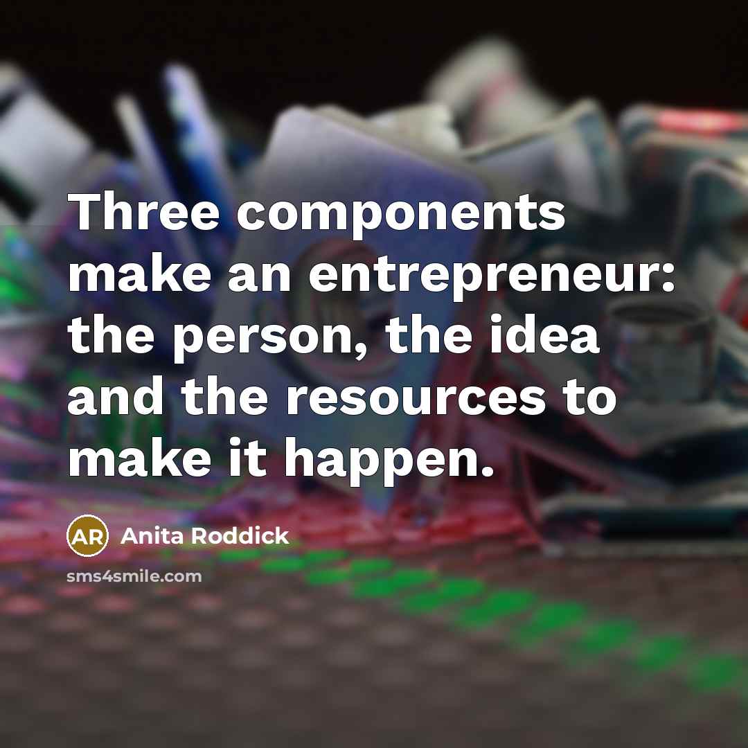 “Three components make an entrepreneur: the person, the idea and…” quote by Anita Roddick