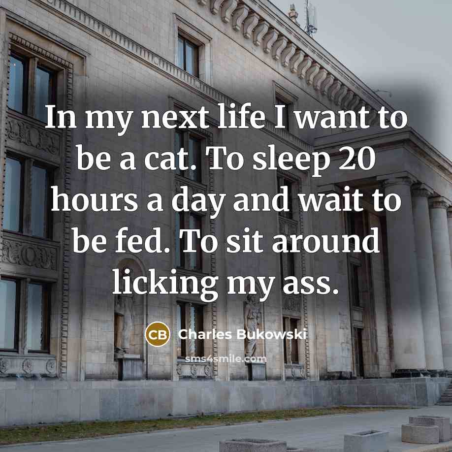 “In my next life I want to be a cat.…” quote by Charles Bukowski