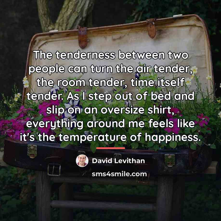 “The tenderness between two people can turn the air tender,…” quote by David Levithan
