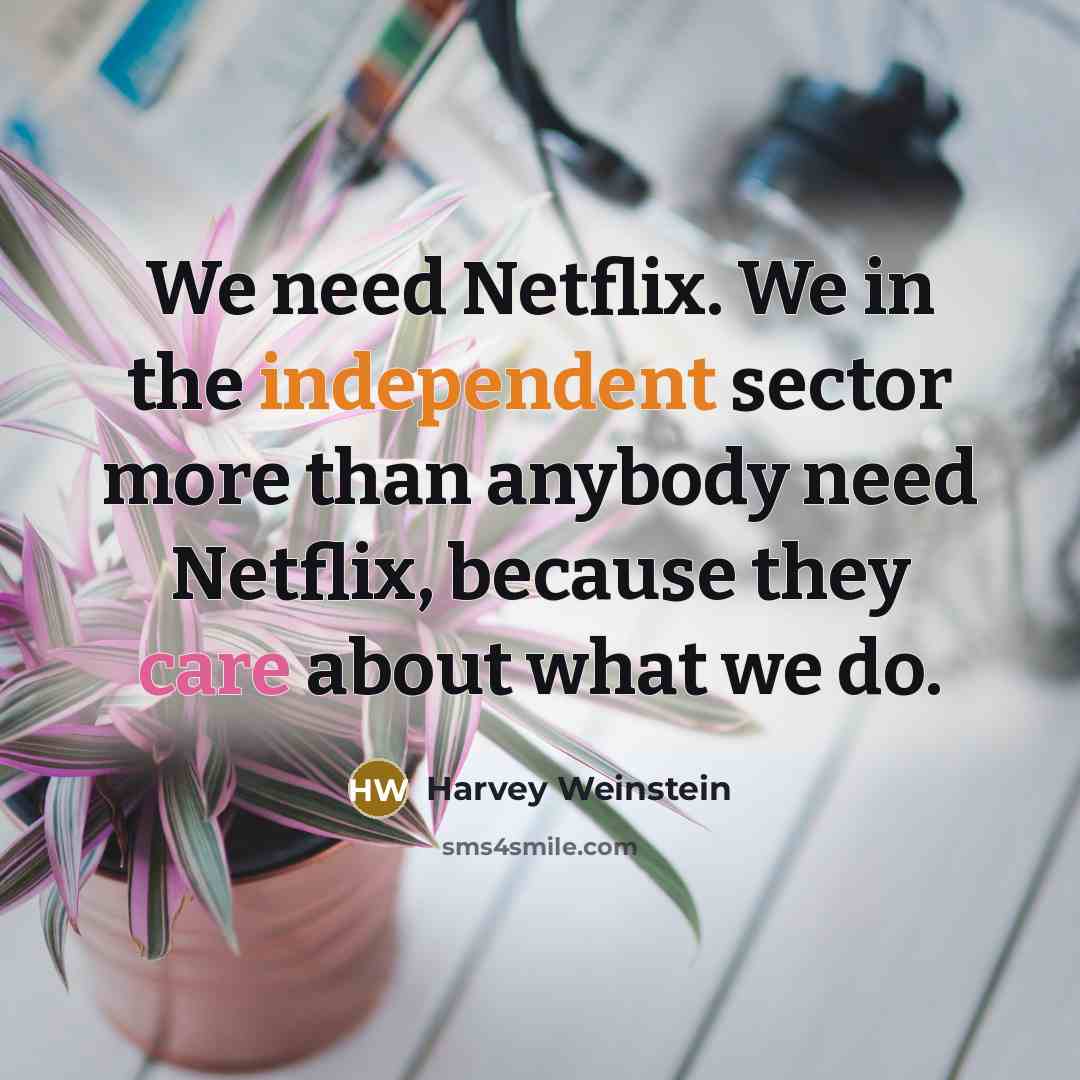 “We need Netflix. We in the independent sector more than…” quote by Harvey Weinstein