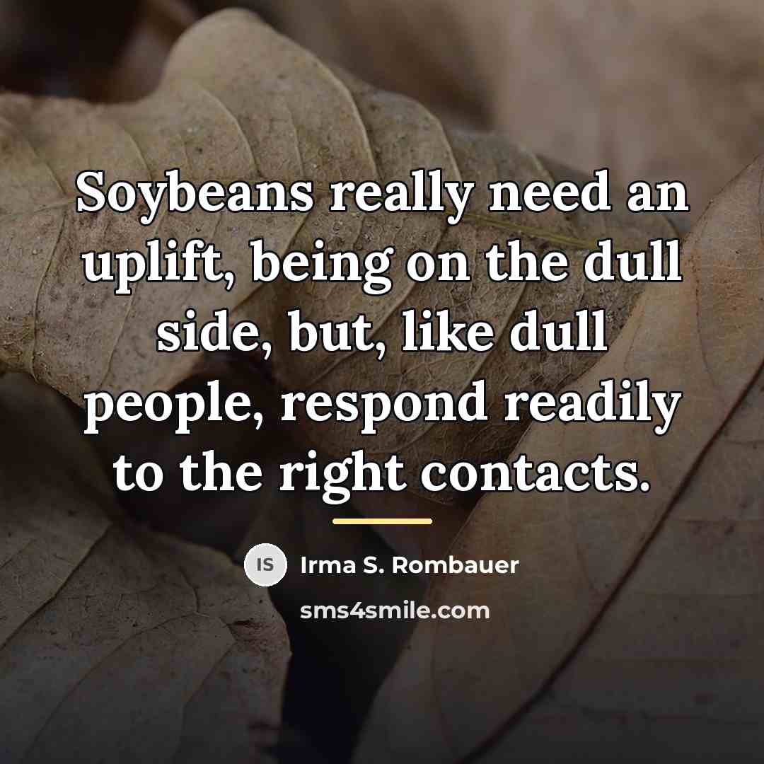 “Soybeans really need an uplift, being on the dull side,…” quote by Irma S. Rombauer