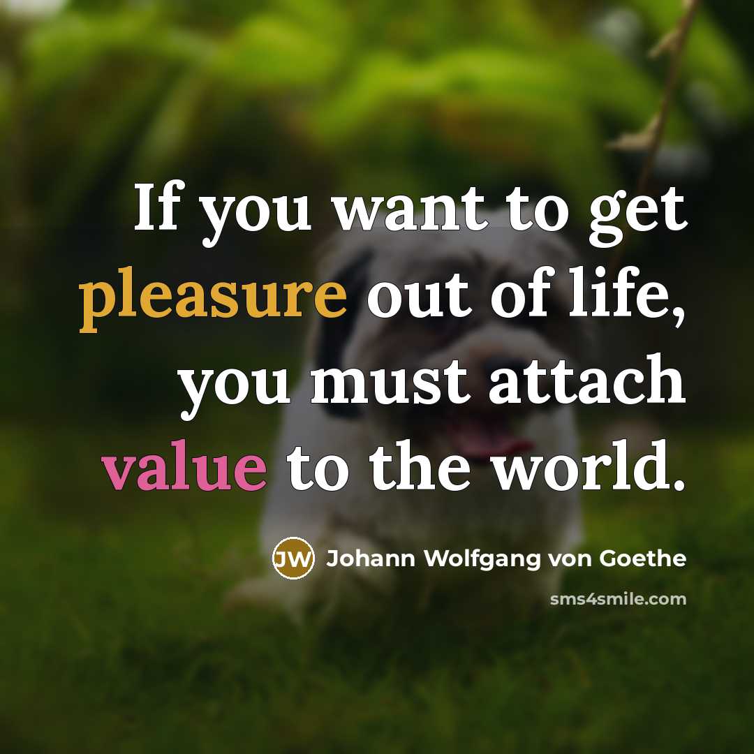 “If you want to get pleasure out of life, you…” quote by Johann Wolfgang von Goethe