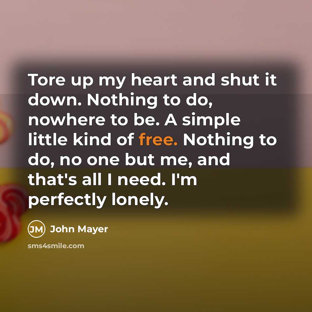 “Tore up my heart and shut it down. Nothing to…” quote by John Mayer