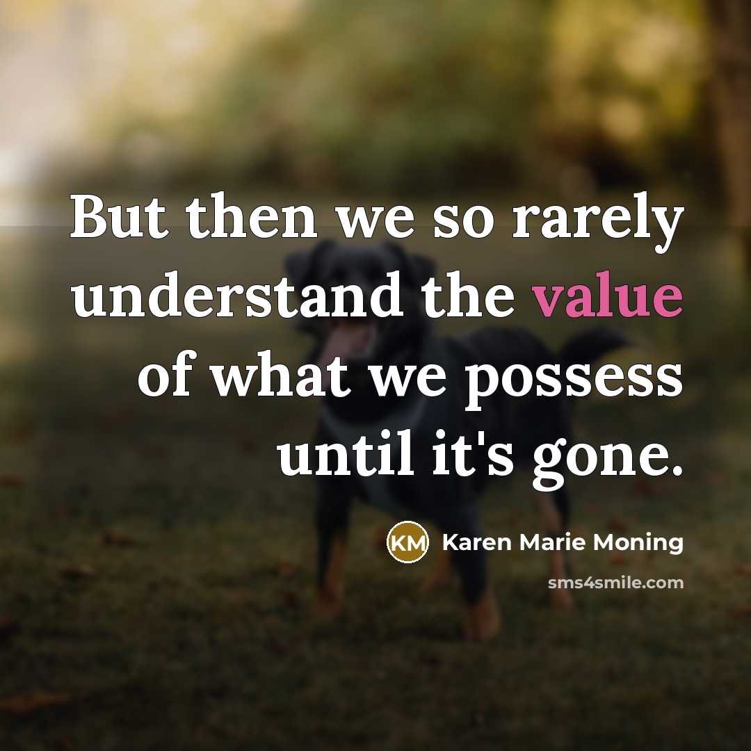 “But then we so rarely understand the value of what…” quote by Karen Marie Moning
