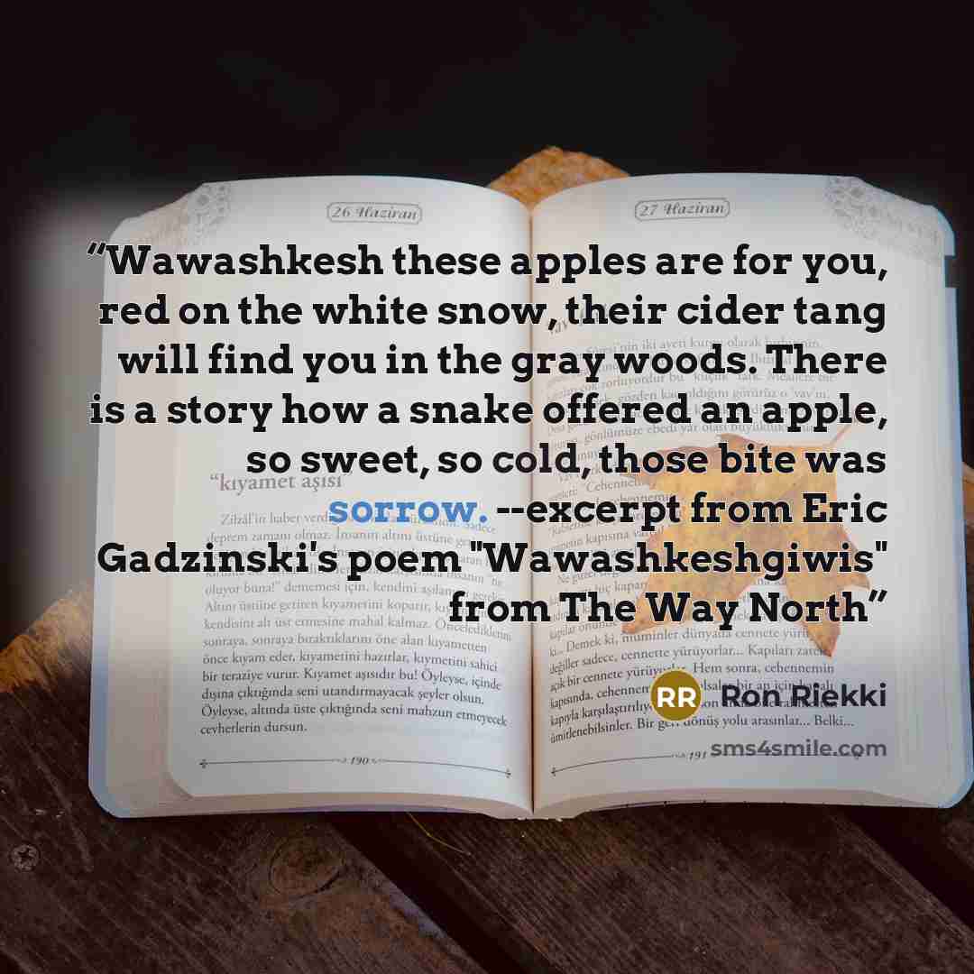 “Wawashkesh these apples are for you, red on the white snow, their cider tang will find you in the gray woods. There is a story how a snake offered an apple, so sweet, so cold, those bite was sorrow. --excerpt from Eric Gadzinski's poem "Wawashkeshgiwis" from The Way North” quote by Ron Riekki